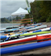 Rows of Paddleboards