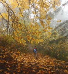 Washougal Hiking Trail