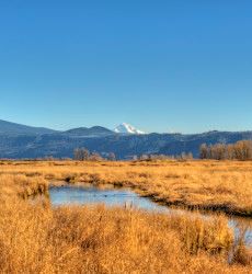 Steigerwald National Wildlife Refuge