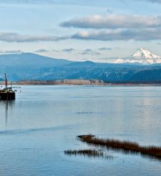 Columbia River View Mount Hood