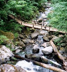 Bridge Below Pool of Winds