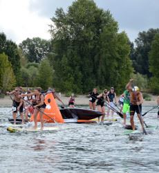 Paddleboard Race