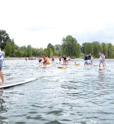 People on Paddleboards