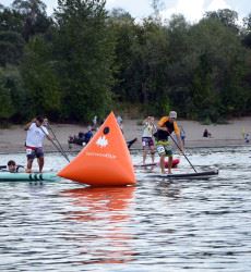 People Participating in a Paddleboard Race