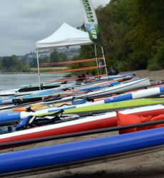 Rows of Paddleboards