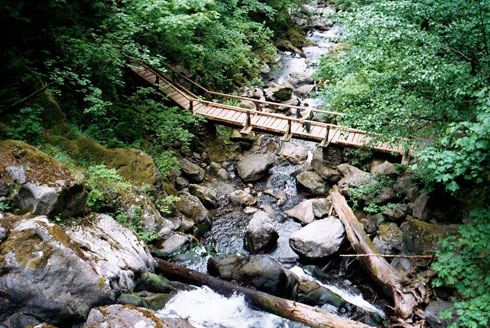Hamilton Mountain Wooden Bridge